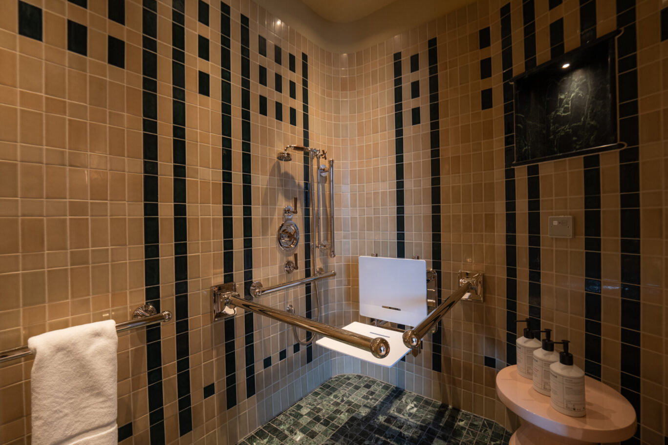 ACCESSIBLE STUDIO SHOWER