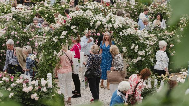 rhs-chelsea-flower-show_flower-displays-at-the-rhs-chelsea-flower-show-credit-rhsgeorgi-mabee-image-courtesy-of-rhs_4df7a4464789e707b0128323e3ddb33c