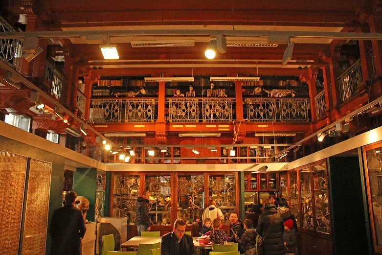grant-museum-of-zoology